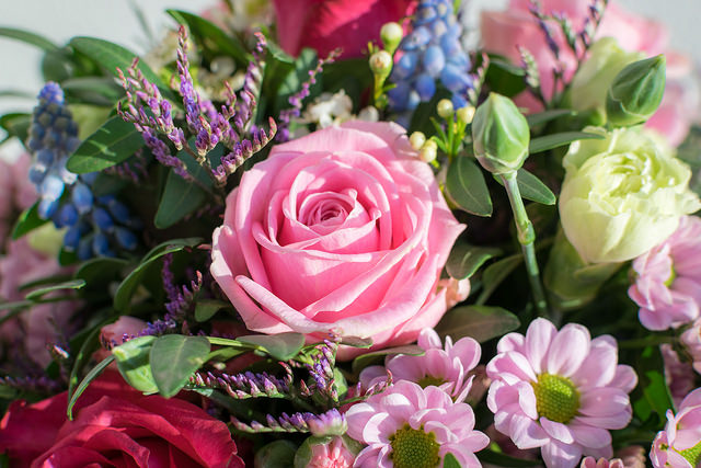 Photo © J. Triepke via Flickr under creative commons licence.