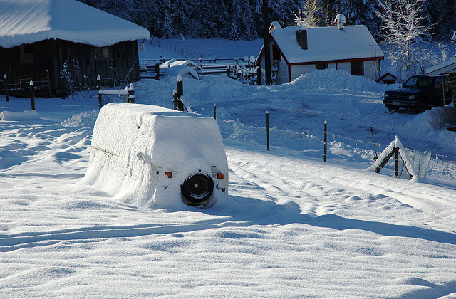Winter Volkswagen