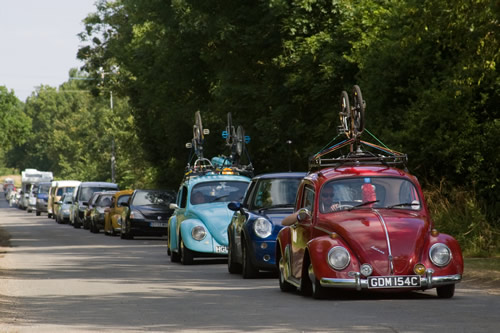 VW Beetles