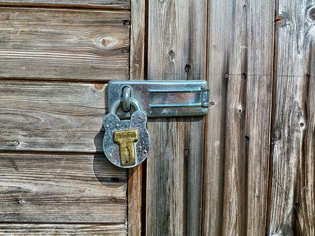 Garden shed door
