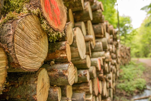 Logs