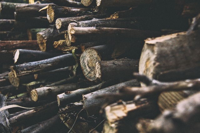 logs