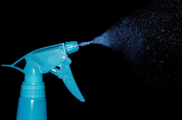 Spray bottle