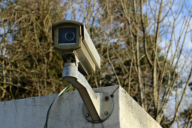 Surveillance camera