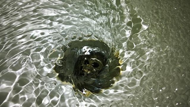 Drainage services van insurance